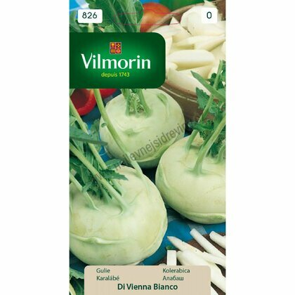 Vilmorin CLASSIC Kedluben (Vídeňský bílý) DI VIENNA BIANCO - časný 2 g